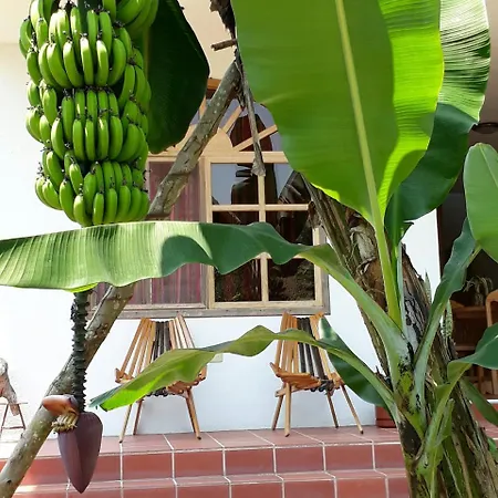 Banana Lodge Misahualli Exterior photo