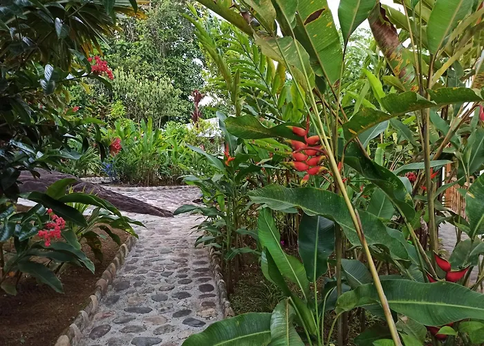 Banana Lodge
