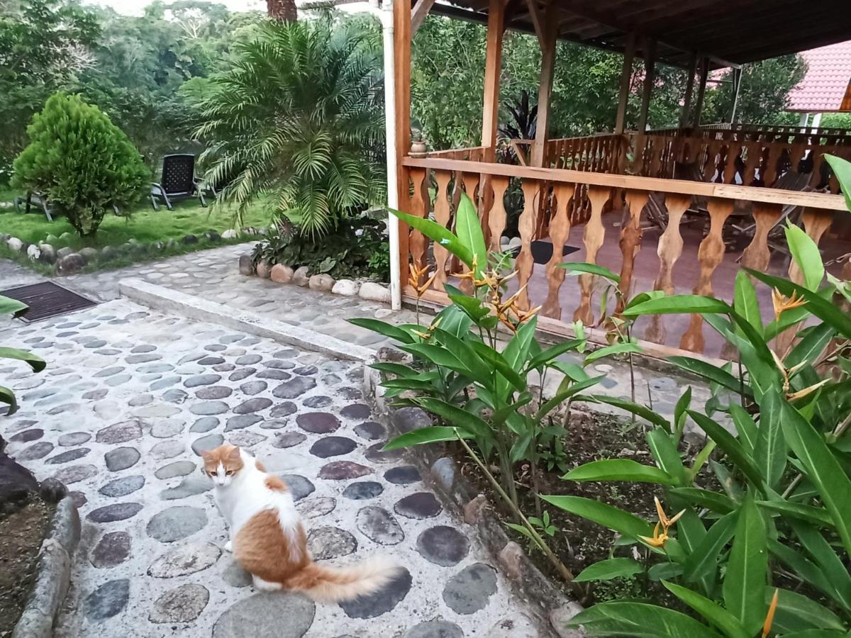 Lodge Banana Misahualli