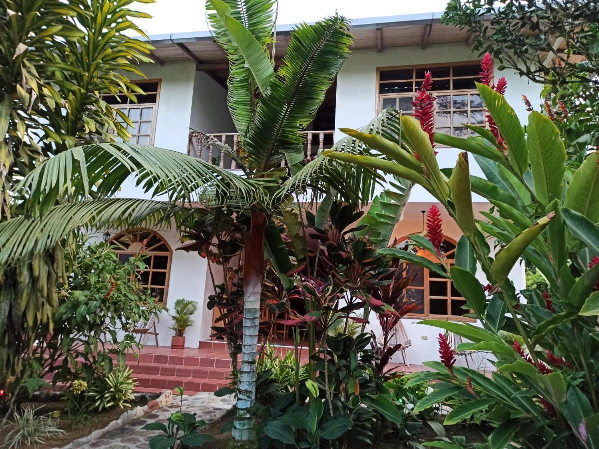 Banana Lodge Misahualli