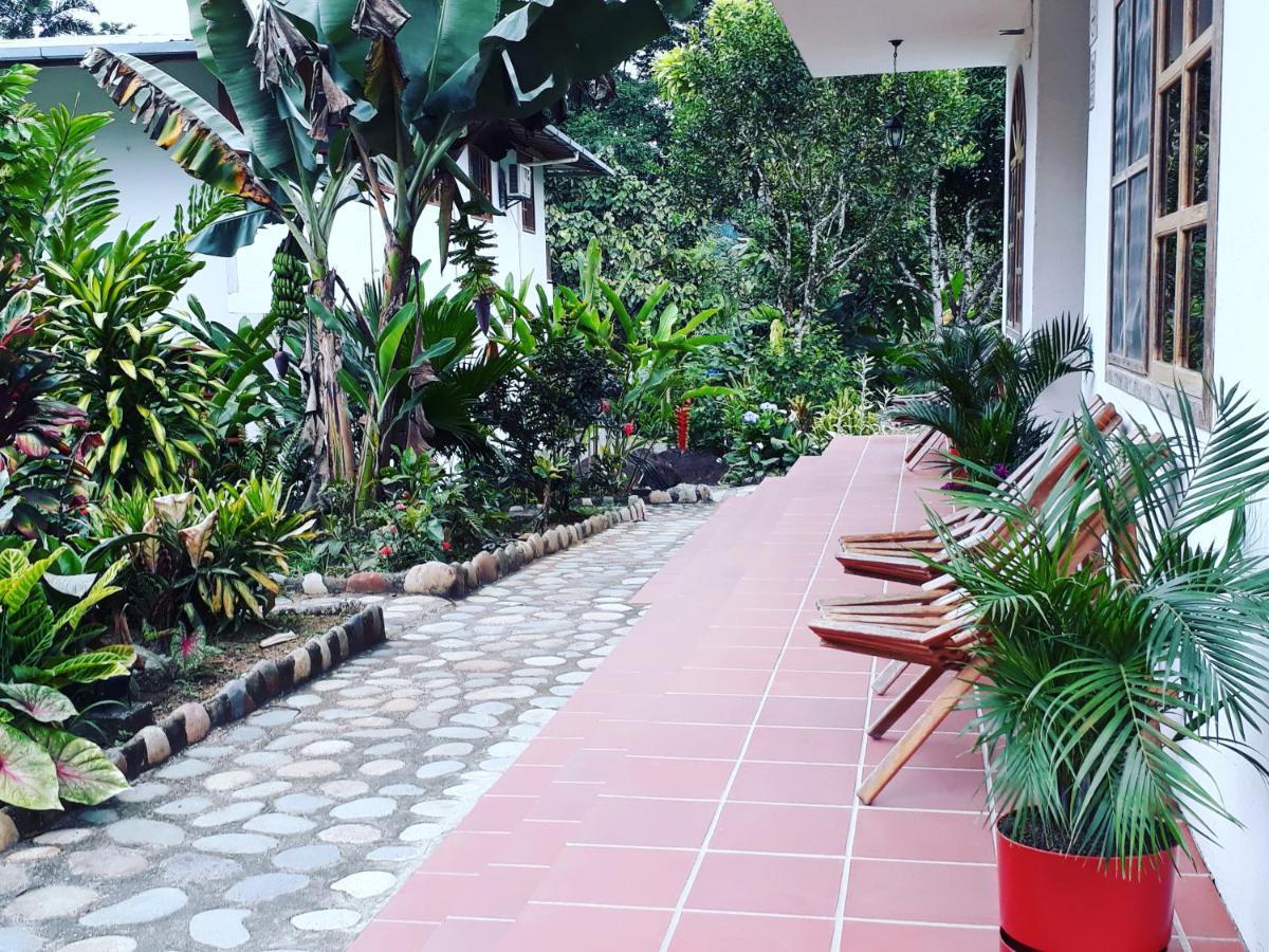 Banana Lodge Misahualli
